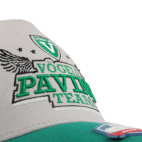 Casquette de baseball en coton Hip Hop structuré avec logo brodé de style personnalisé et à la mode casquettes de baseball avec étiquette tissée