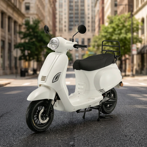 Moped/Moto électrique Euro 5 Classic avec batterie Li-ion, moteur à balais 48V 1001-2000W, longue autonomie, moteur 600-1000CC, vitesse 40-60km/h - Product Image 3