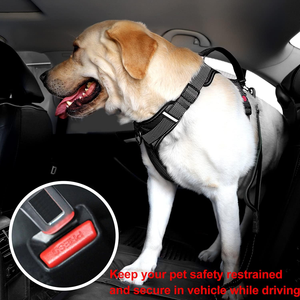 <span class=keywords><strong>Correa</strong></span> de <span class=keywords><strong>perro</strong></span> multifuncional 6 en 1 con cinturón de seguridad de coche resistente elástico de rotación de 360 ° para caminar seguro con <span class=keywords><strong>manos</strong></span> <span class=keywords><strong>libres</strong></span> - Product Image 5
