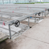Table de roulement pour serre, à bas prix, accessoire pour plantes commerciaux, avec mailles, table de culture