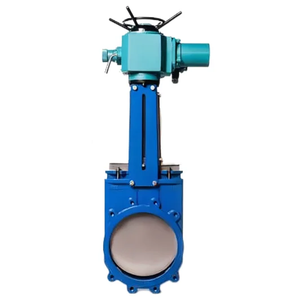 Vanne à opercule en fonte ductile 3, 4, 5 et 6 pouces - Product Image 6