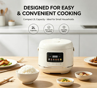 Mini cuiseur à riz 2L, petit cuiseur à riz électrique avec plusieurs programmes de cuisson, cuve intérieure antiadhésive pour 1 à 3 personnes