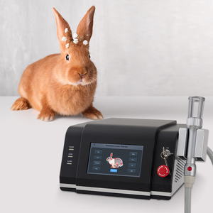 Effektives Schmerzmanagement für Haustiere Physiotherapie Klasse IV Lasertherapiegerät für Tierkliniken - Product Image 1