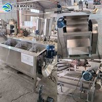 Ligne de transformation de la farine de manioc à grande échelle, machine de fabrication de garri, usine pour la ferme nigériane, machine de transformation du manioc