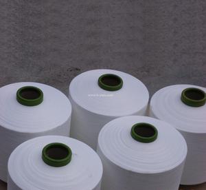 Bán buôn 50D/36F mới 100% polyester sợi dty Nim/Sim SD RW mức giá tuyệt vời cho đan và dệt nguyên liệu mô hình - Product Image 5