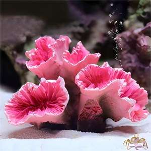 Fundo do aquário decorado com resina coral artificial Recife coral seguro Acessórios vermelhos Aquário de peixes paisagem decorada - Product Image 4