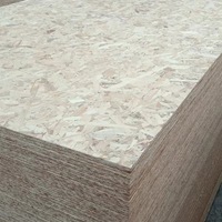 Panneaux OSB de qualité ENF, sans formaldéhyde, imperméables, résistants à l'humidité, non finis, 18 mm, pour usage intérieur, sous-couche Guangdong