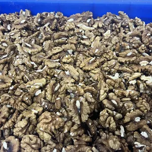 Vente en gros de noix chinoises biologiques de Xingjiang noix en coquille 32mm