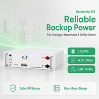 Batterie LiFePO4 CFE 51.2V 100Ah 5kWh pour système de stockage d'énergie résidentiel, 6000 cycles, montage mural, ESS CAN pour l'alimentation domestique