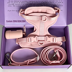 Arnés, Collar y Correa para Perro Personalizados, Impermeables, Ajustables, con Hebilla de Poliéster - Product Image 1