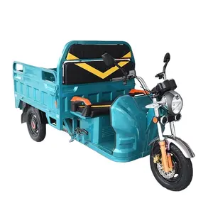China EEC Electric cargo tricycle for worldwide market