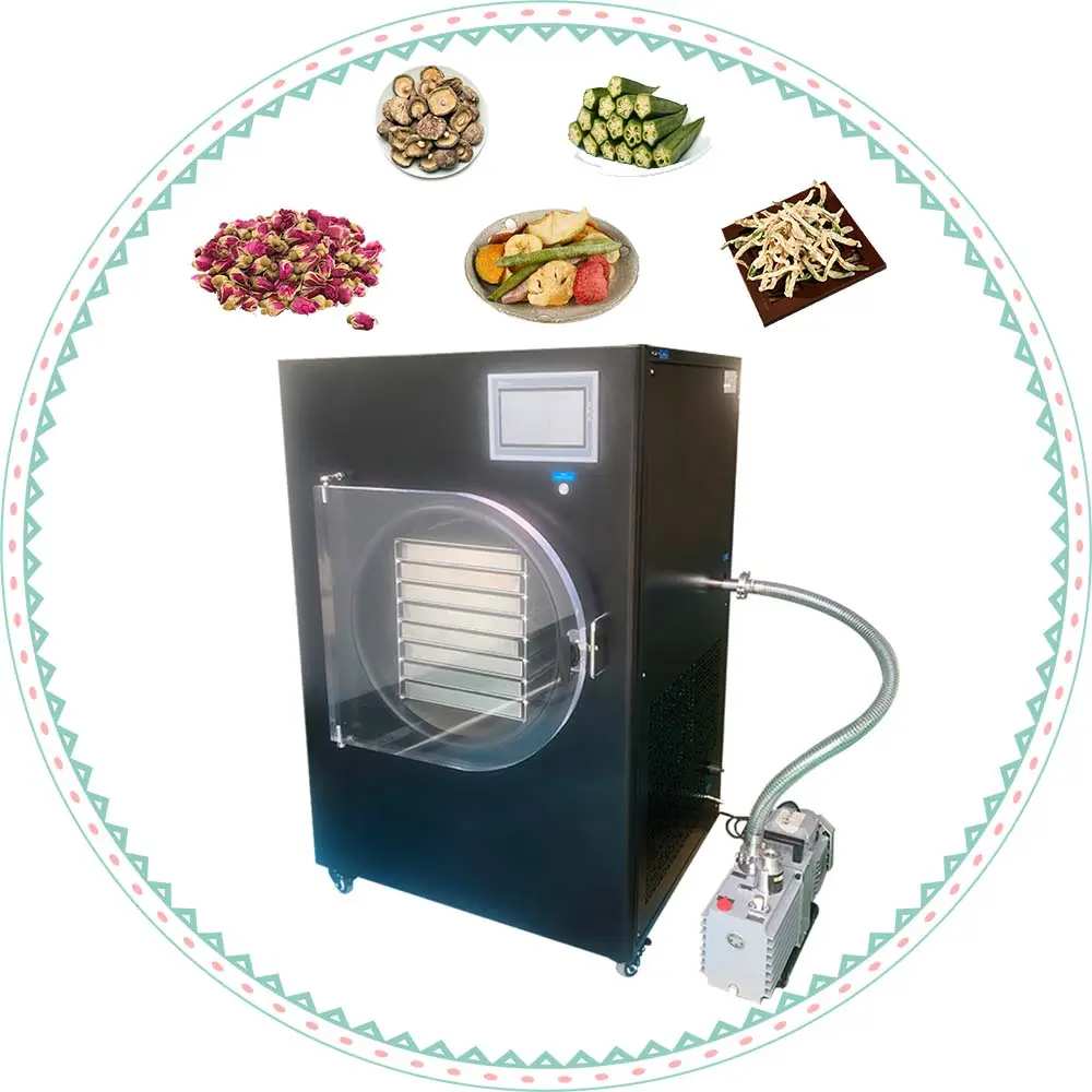 2024 Discount Snake Venom Vacuum Vaccum Freeze Dryer Food Dryers For Home Use Equipment
