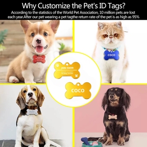 Sterling Silver Slide ON <span class=keywords><strong>Dog</strong></span> <span class=keywords><strong>Tag</strong></span> Thăng Hoa Khắc Xương <span class=keywords><strong>Dog</strong></span> <span class=keywords><strong>Tag</strong></span> Hai Mặt Vật Nuôi Chó Cổ Áo <span class=keywords><strong>Tag</strong></span> Khắc Trống Vòng Cổ - Product Image 6