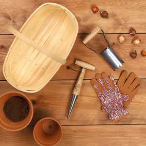 Lightweight Manual <strong>Vegetable</strong> &amp; Flower Planting Set - Product Image 1