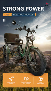 Tricycle électrique de fret à trois <span class=keywords><strong>roues</strong></span> tendance, moteur central 48V, cadre en acier, batterie au lithium, moteur sans balais 750W, pneus larges - Product Image 3