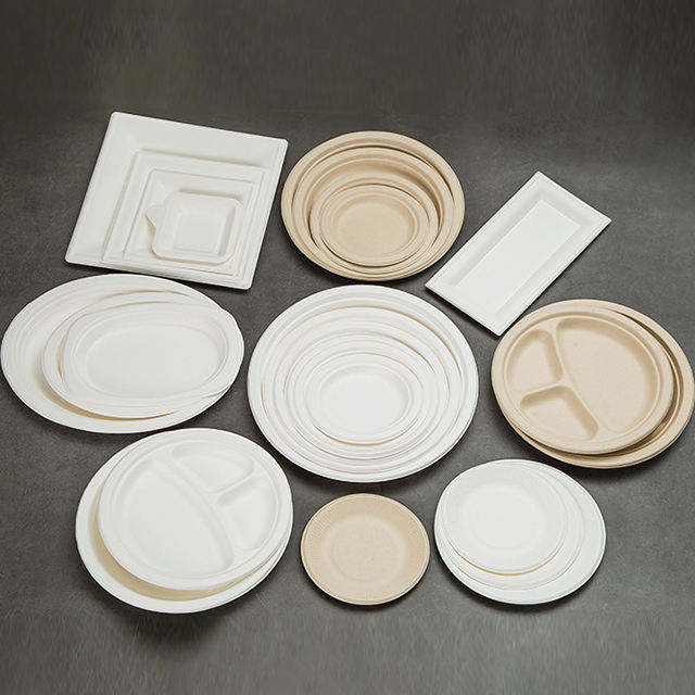 Disposable Paper Plates and Bowls, Sugarcane Pulp Outdoor Barbecue Birthday Cake Plates, Thickened Dinner Bowls, Round Plates