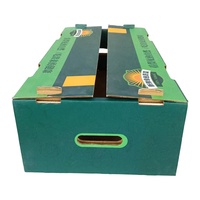 Carton ondulé de fruits légumes citron avocat laitue conteneurs de bonne qualité pliable de marque impression personnalisée boîte en papier bon marché