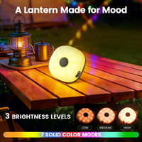 Lanterne de camping portable solaire rechargeable étanche IP45 2500mAh avec 10 LED RGB et guirlande lumineuse de 10M 130 LED – Vente en gros