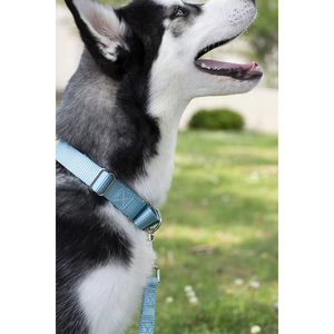 Collier de dressage pour chien NIBAO en nylon robuste, type slip et martingale - Product Image 5