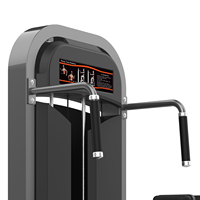 Équipement de musculation professionnel Realleader pour la rotation du tronc