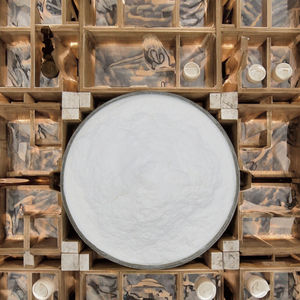 Polvo de Fibroína de Seda Blanca de Grado Cosmético al por Mayor, Extracto Herbal Artificial de Plantas con Vitaminas para el Rostro, Envasado en Tambor y al Vacío - Product Image 3