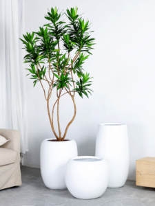 Macetero Alto de Magnesio Estilo Nórdico para Interiores/Exteriores, para Árboles y Plantas de Salón - Product Image 1