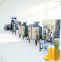 Koudgeperste natuurlijke sapverwerkingslijn voor de productie van vers fruitnectar met een zacht extractiesysteem