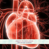 Complexe de capsules de super vitamine B : Renforce le système immunitaire, soutient les systèmes cardiovasculaire et nerveux, soulage la tension nerveuse
