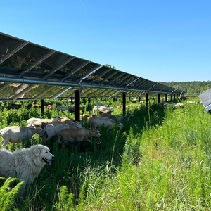 <span class=keywords><strong>70</strong></span> <span class=keywords><strong>kW</strong></span> năng lượng mặt trời hệ thống trên lưới điện năng lượng mặt trời hệ thống nhà Quang điện năng lượng mặt trời hệ thống - Product Image 6