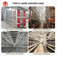 Cage à poules automatique de type H robuste, 1000 oiseaux, galvanisée, antirouille, cages à poules à vendre
