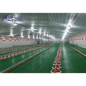 different types of heavy steel structure chicken poultry house buildings for 30000 chickens
