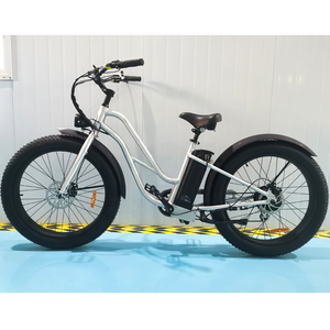 Batterie de vélo électrique 48V pour VTT 26'' à pneus larges, cruiser, 750W, autres VTT sportifs, Dirt Ebike, ATV - Product Image 1