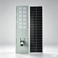 Farola LED Solar Integrada IP65 con Batería LiFePO4, Carcasa de Aluminio, Garantía de 3 Años, Precio de Fábrica, OEM, ODM