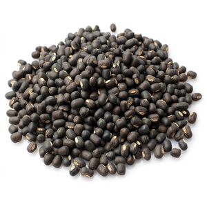 Nouvelle Saison – Haricots Urad Indiens Frais de Qualité Supérieure FitTree International 25kg – Durée de Conservation 24 Mois pour la Distribution Mondiale en Gros - Product Image 1