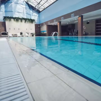 Tuile de porcelaine antidérapante professionnelle d'usine émaillée bleue 240x115mm tuile de piscine de poignée de doigt de piscine pour le bord de piscine