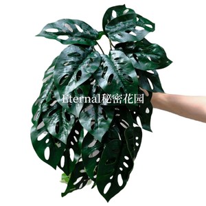 Mur végétal artificiel Secret Garden 30cm-100cm, branche en soie synthétique pour décoration maison et mariage - Product Image 5
