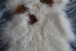 Haute qualité longue <span class=keywords><strong>laine</strong></span> douce <span class=keywords><strong>bouclée</strong></span> couleur naturelle marron blanc moelleux mongol fourrure d'agneau tapis pour <span class=keywords><strong>chaise</strong></span> lit salon - Product Image 5