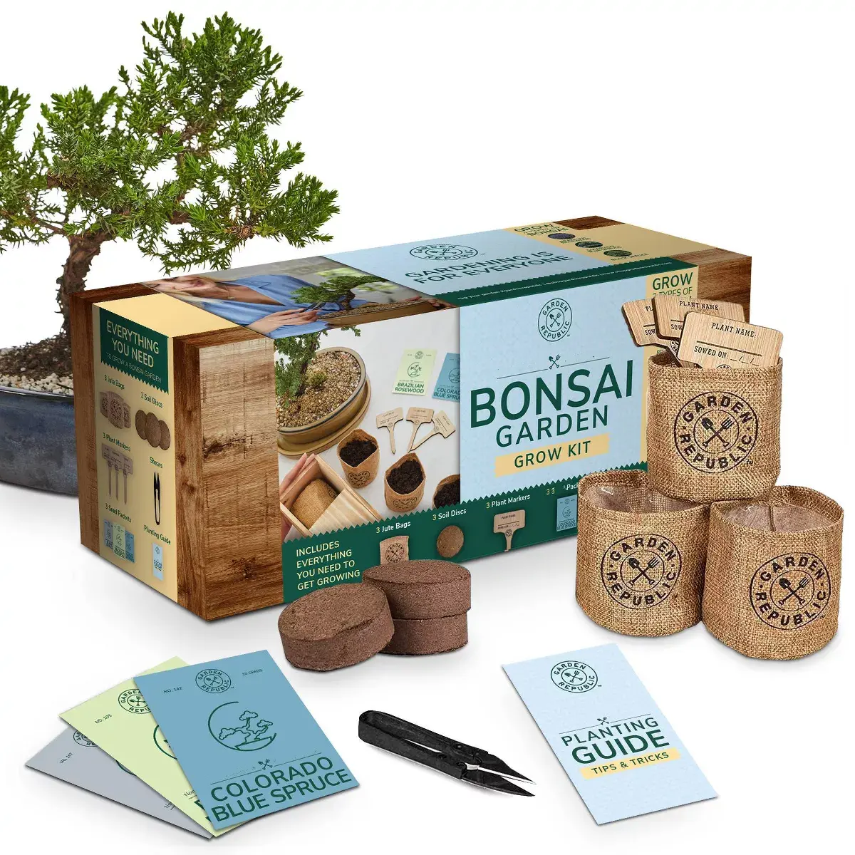 Kit inicial de cultivo de plantas para bonsai, kit de cultivo de árvores de bonsai para decoração de interiores, caixa de presente de madeira