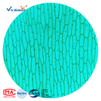 Prepared Slides Mixing Set Biology Slides 50 Kinds of Biological Section Set of Plant and Animal Quality Microscope Slides