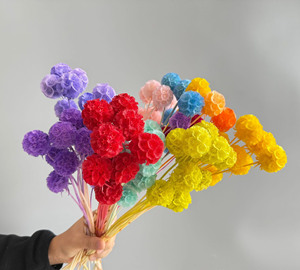 Vainas de Scabiosa Naturales Multicolores, Flores Secas de Tipo Windmill, Suministro al por Mayor para Arreglos Florales, Decoración de Bodas y Fiestas - Product Image 3