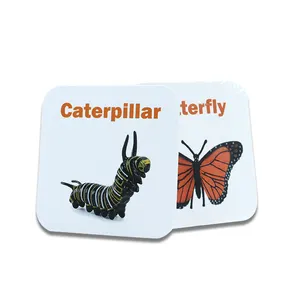 Cartões de lanterna de inseto, por atacado, personalizado, para crianças pequenas, aprendizagem, jogos educativos, cartão flash