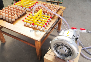 Système <span class=keywords><strong>de</strong></span> transfert automatique d'oeufs Table <span class=keywords><strong>de</strong></span> mirage d'oeufs et machine <span class=keywords><strong>de</strong></span> transfert Élévateur d'oeufs en acier inoxydable 304 - Product Image 4