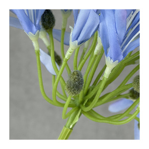 Flor simulada de seda de Agapanthus <span class=keywords><strong>Africanus</strong></span> pequeña de alta calidad artificial al por mayor para Decoración - Product Image 3