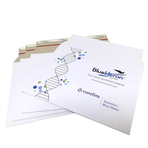 Enveloppes professionnelles personnalisées, épaisses et lisses, avec <span class=keywords><strong>dos</strong></span> en carton gris imprimé - Product Image 6