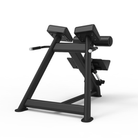 Machine d'entraînement fonctionnelle d'exercice de nouveau design vente en gros équipement de fitness de gymnastique commerciale banc romain réglable