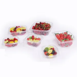 Supply PET PP PS Silver golden plastic fruit box ,salad box ,sushi box &tray packing food packaging