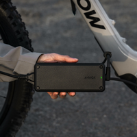 Vélo de montagne électrique Amflow PR Carbon, en fibre de carbone, EMTB 1500W, batterie amovible, système d'entraînement Avinox M2, fabrication en usine
