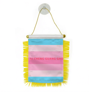 Meistverkaufte Maßgefertigte Trans-Alli Mini-Flaggen LGBT-Themen Regenbogen-Serie Aufhängbar mit Saugnapf Auto- und Wanddekoration Flaggen - Product Image 2