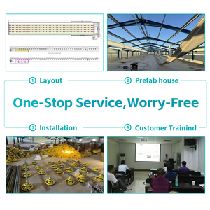 Tự động chăn nuôi gia cầm thiết bị-h loại Gà Thịt lồng hệ thống cho 4-12 tầng gà trang trại - Product Image 5