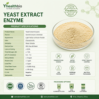 Extrait de levure pur, non-OGM, sans gluten, en poudre, pour additif alimentaire, fourni directement par l'usine